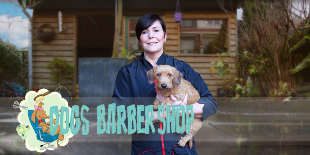 dogs-barbershop