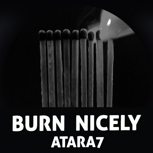 Burn Nicely (2004)